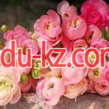 Бутик цветов Flori
