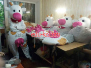 Puppet Studio