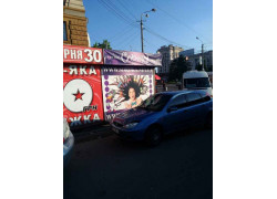 Сорока