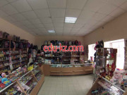 Канцтовары, игрушки, бижутерия