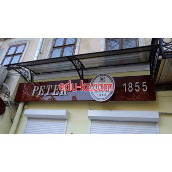 Petek