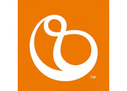 Stokke