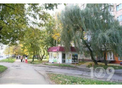 Заколка