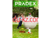Pradex-мебель из ротанга