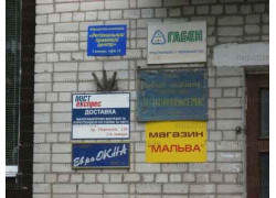 Мальва