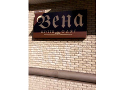 Вена