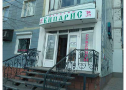 Кипарис