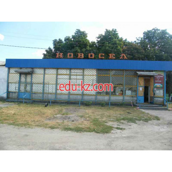 Новосёл
