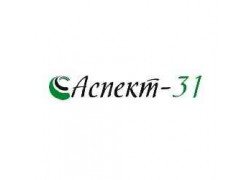 Компания Аспект-31