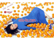 Магазин Cat Orange