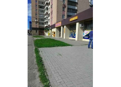 Одеса