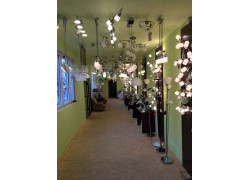 Led Market