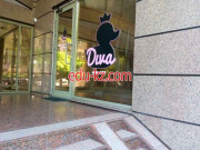 Diva new look