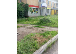 Сток