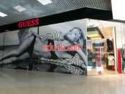 Guess