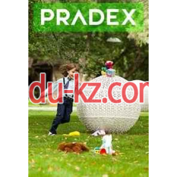Pradex-мебель из ротанга