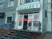 Кипарис