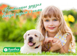 Пуговка