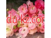 Бутик цветов Flori