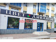 Мебель Донецка