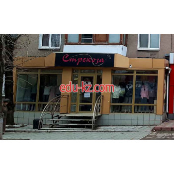 Стрекоза