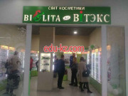 Владиком