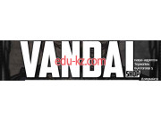 Vandal Shop Streetwear