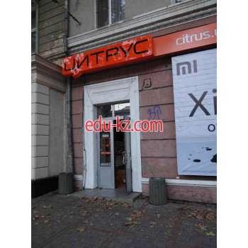 Цитрус