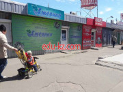 Товары для рукоделия Ежевика