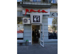 Раса