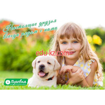 Пуговка