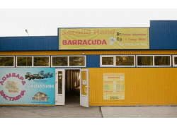 Barracuda