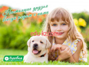 Пуговка