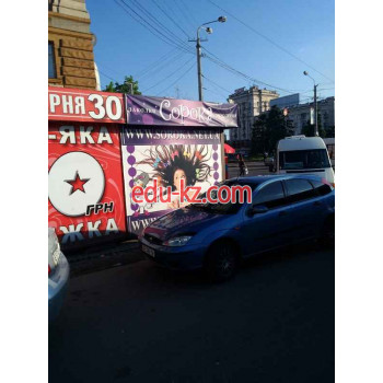 Сорока
